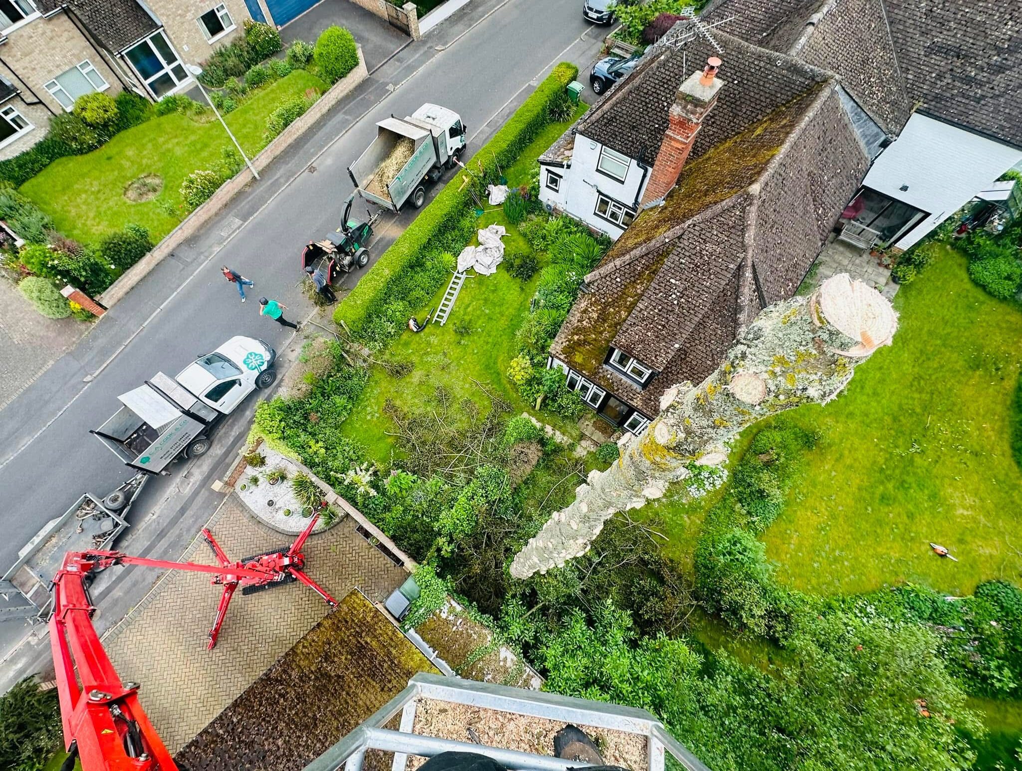 crane used for tree surgery