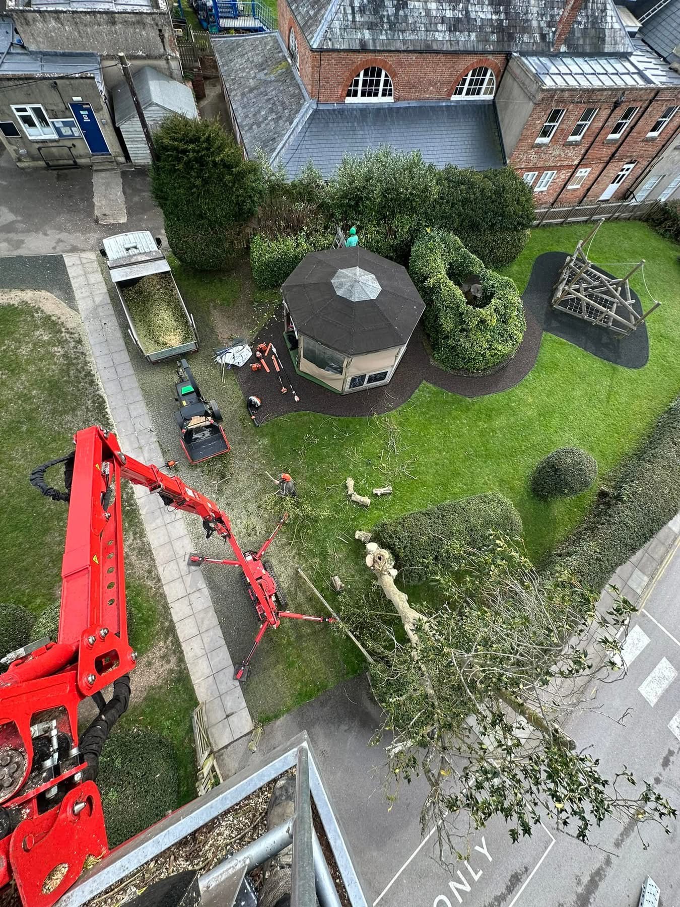 commercial tree work crane