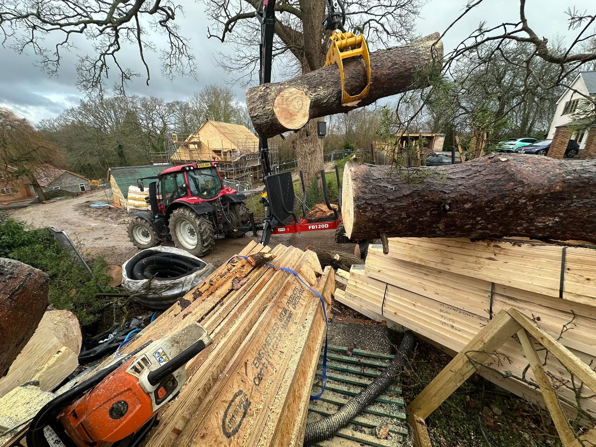 tractor tree removal